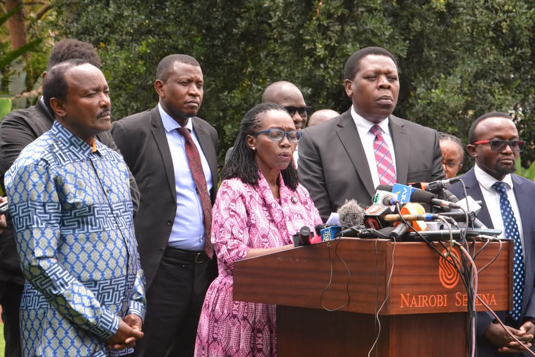 "RUTO’S  IEBC?" OPPOSITION CRIES FOUL OVER NOMINEES, WARNS OF 2027 RIGGING PLOT