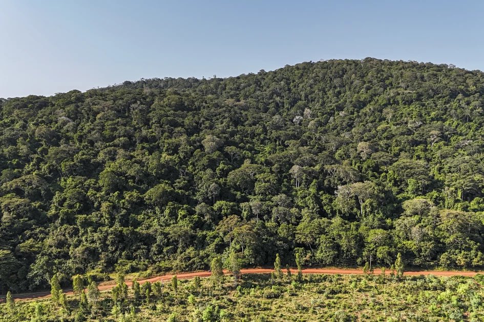 Kenya Plans Private Investment Drive in Coastal Beaches and Islands to Expand Luxury Tourism