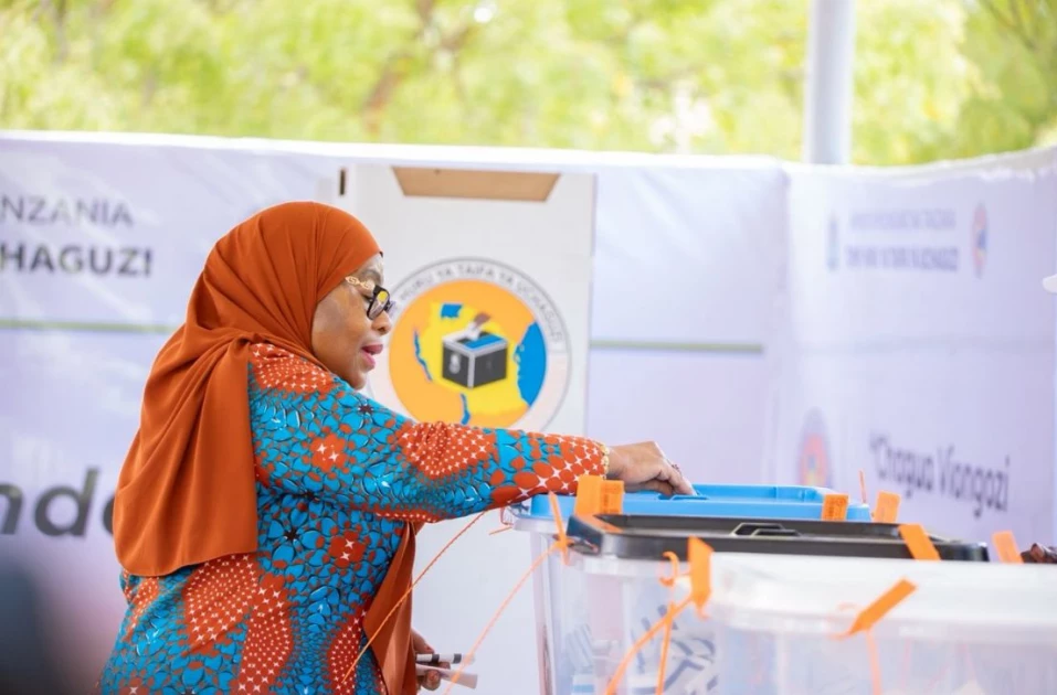 AU Slams Tanzania Polls