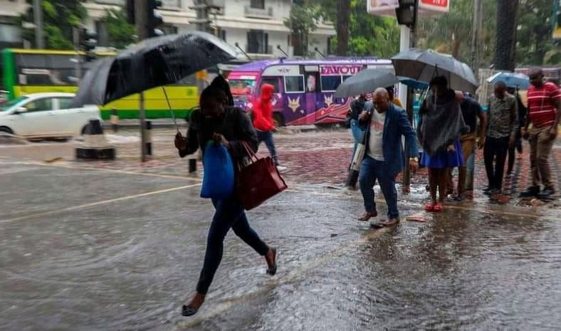 Prolonged Rains Forecasted