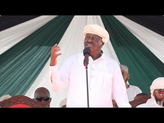 RAILA CASTIGATES THE EXECUTIVE AND LEGISLATOR